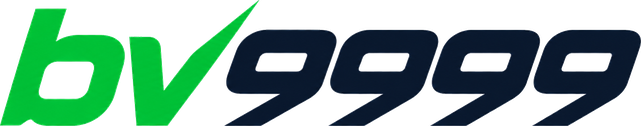 bv9999 Logo
